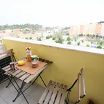 Rent 1 bedroom apartment in Lisbon