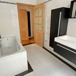 Rent 1 bedroom apartment in brussels