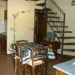 Rent 2 bedroom apartment of 40 m² in Torino