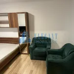 Rent 1 bedroom apartment in Craiova