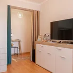 Rent 1 bedroom apartment in Porto