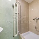 Rent 1 bedroom apartment in Ústí nad Labem