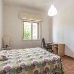 Rent 3 bedroom apartment in Bologna