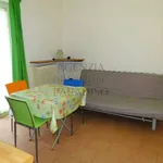 Rent 1 bedroom apartment of 28 m² in Urbino