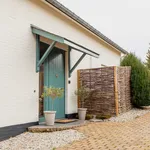 Rent 4 bedroom house of 125 m² in Mesch