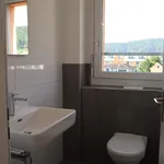 Miete 4 Schlafzimmer haus von 99 m² in Turbenthal