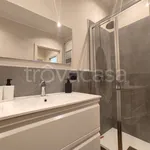 Rent 2 bedroom apartment of 55 m² in Torino