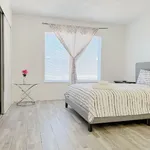 Rent 1 bedroom apartment in Spring Valley