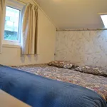 Rent 1 bedroom house in Dunedin