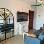 Rent 2 bedroom apartment of 50 m² in Treviso