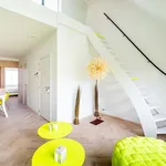 Rent 1 bedroom apartment in Antwerpen