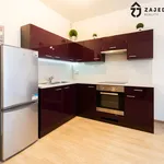 Rent 1 bedroom apartment in Slavkov u Brna