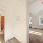 Rent 1 bedroom apartment in Kladno