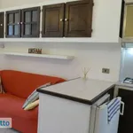 Rent 2 bedroom apartment of 53 m² in Turin