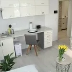 Rent 1 bedroom apartment in Beroun