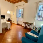 Rent 1 bedroom apartment of 30 m² in florence