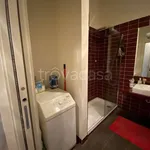 Rent 1 bedroom apartment of 45 m² in Torino