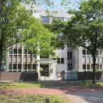 Rent 3 bedroom apartment of 150 m² in Den Haag