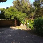 Rent 3 bedroom apartment of 80 m² in Anzio