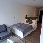 Rent 1 bedroom flat in Sheffield