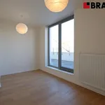 Rent 3 bedroom apartment of 113 m² in Brno