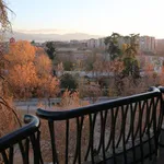 Rent 1 bedroom apartment in Granada