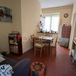 Rent 2 bedroom apartment of 40 m² in Torino