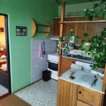 Rent 1 bedroom apartment in Tábor