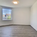 Rent 1 bedroom apartment in Kortrijk