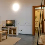 Rent 1 bedroom apartment of 60 m² in como