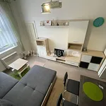 Rent 1 bedroom apartment of 25 m² in Capital City of Prague