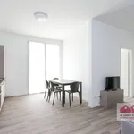 Rent 2 bedroom apartment of 60 m² in Vicenza