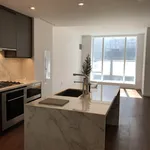 Rent 2 bedroom apartment of 110 m² in New York