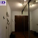 Rent 2 bedroom apartment of 49 m² in Gliwice