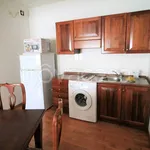 Rent 2 bedroom apartment of 54 m² in Torino