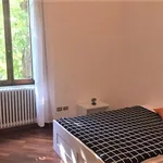 Rent a room in Florence