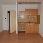 Rent 1 bedroom apartment in Ostrava