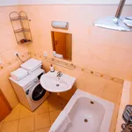 Rent 1 bedroom apartment of 60 m² in Prague