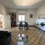 Rent 3 bedroom apartment of 90 m² in Bologna