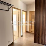 Rent 3 bedroom apartment of 60 m² in Katowice