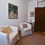 Rent 2 bedroom apartment of 50 m² in Firenze