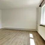 Pronájem bytu 1+1 45m²