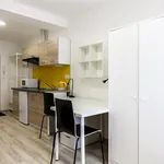 Rent 1 bedroom apartment in Brno