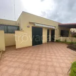 Rent 4 bedroom house of 80 m² in Melendugno