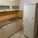 Rent 2 bedroom apartment of 50 m² in Rakovník