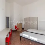 Rent 4 bedroom apartment of 103 m² in Siena