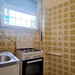 Rent 3 bedroom apartment of 80 m² in Torino