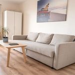  appartement avec 1 chambre(s) en location à Clermont-Ferrand