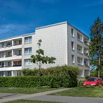 Miete 3 Schlafzimmer wohnung von 75 m² in Monheim