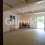 Rent 8 bedroom house of 300 m² in Bentivoglio